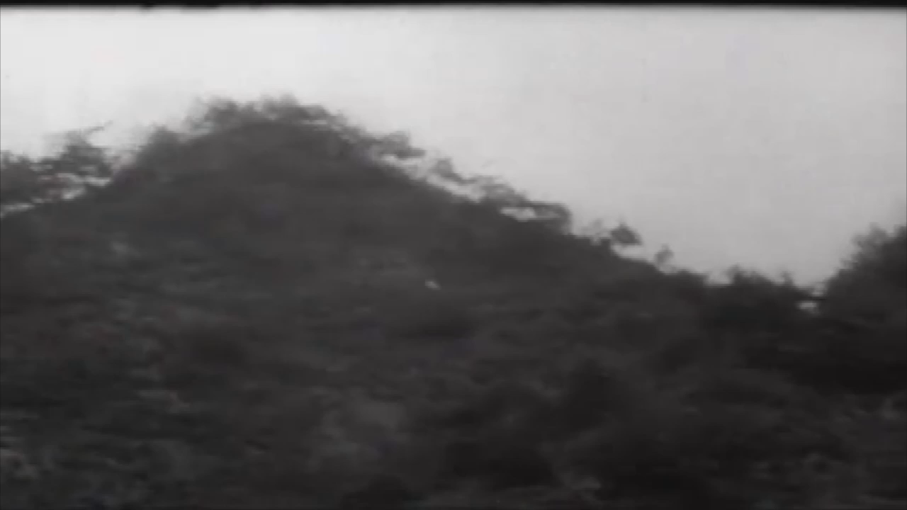 Battleground: The Cobra Strikes