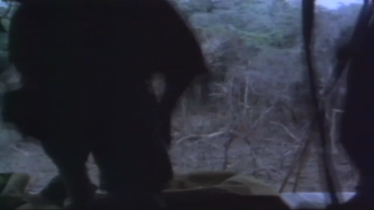 Battleground: They Clear the Way