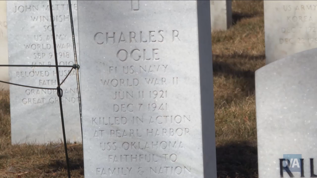 The American Veteran