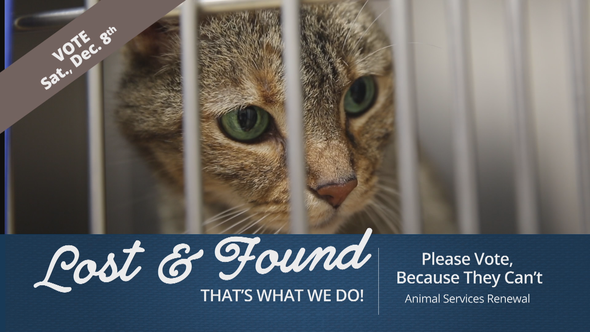 Animal Services - VOTE 4 PSA