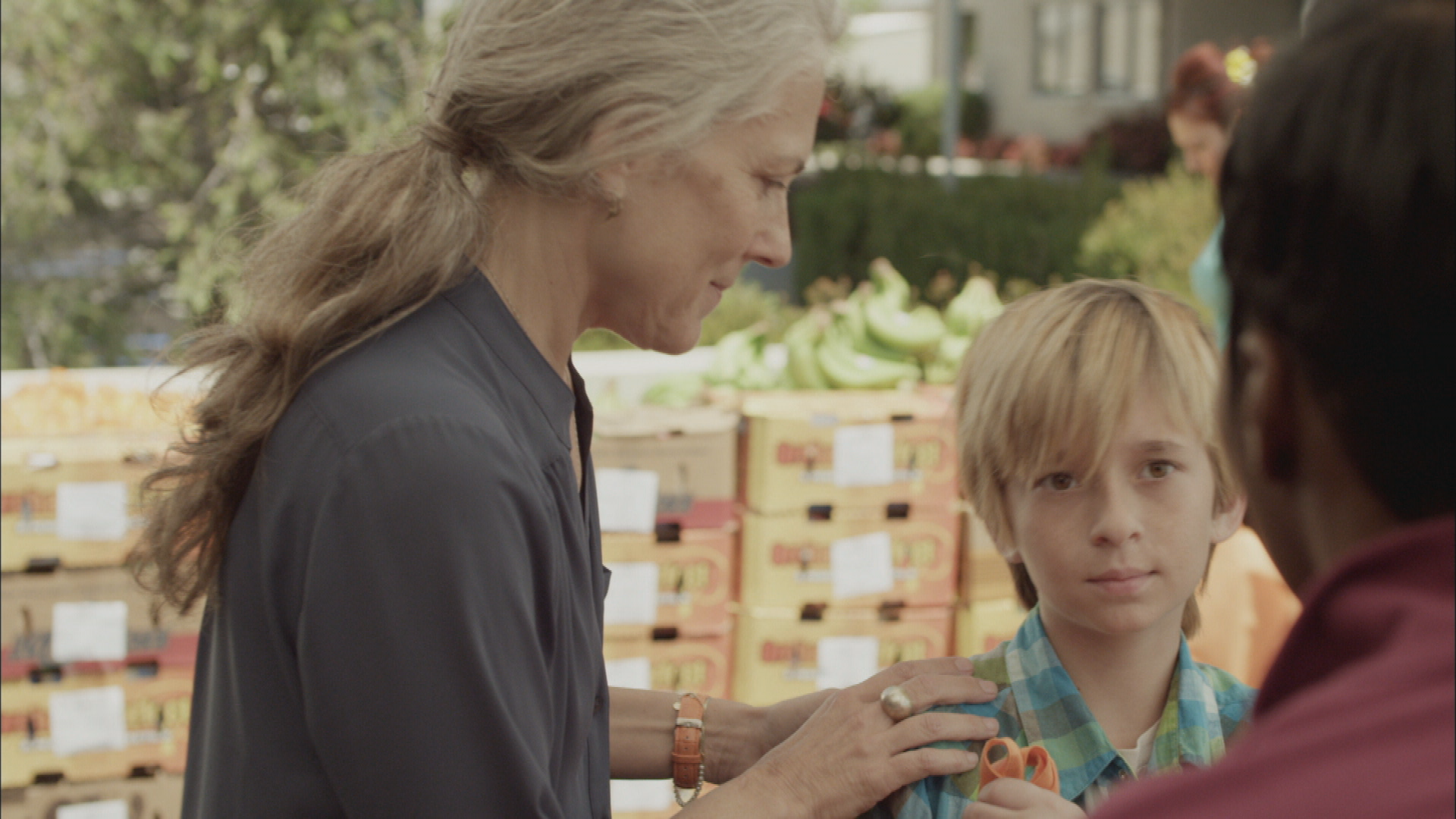 HUN_Farmer_HD_Eng_30