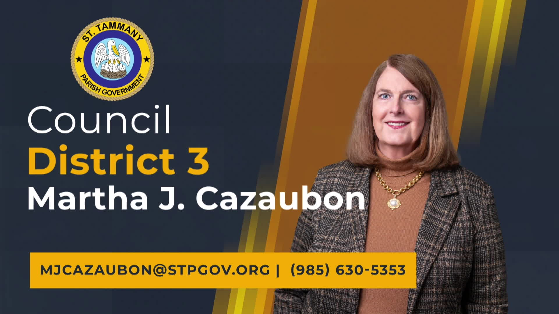 council0625 caption test