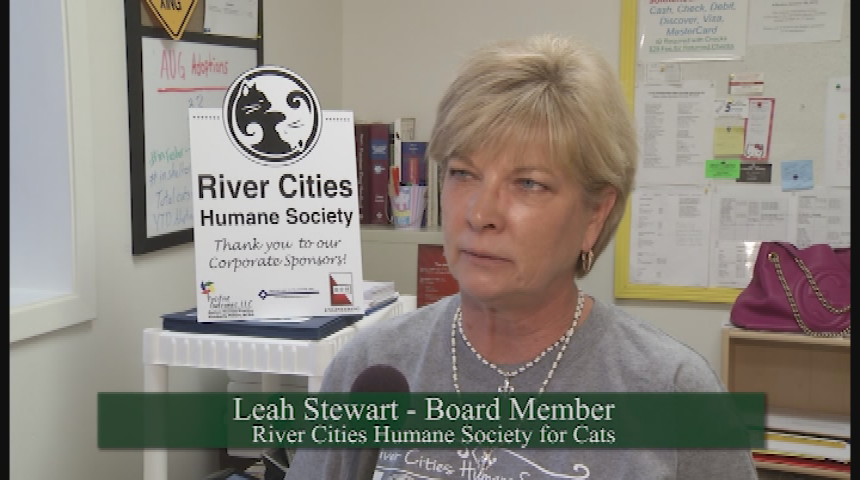 Louisiana News Magazine