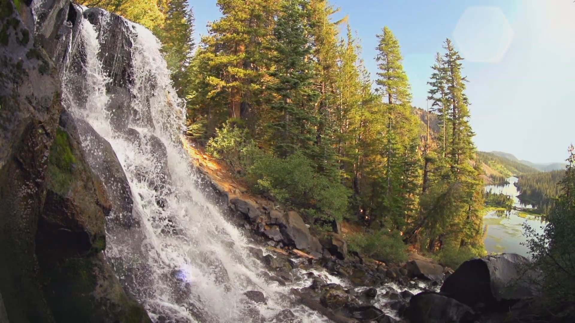 PSA Arbor day foundation