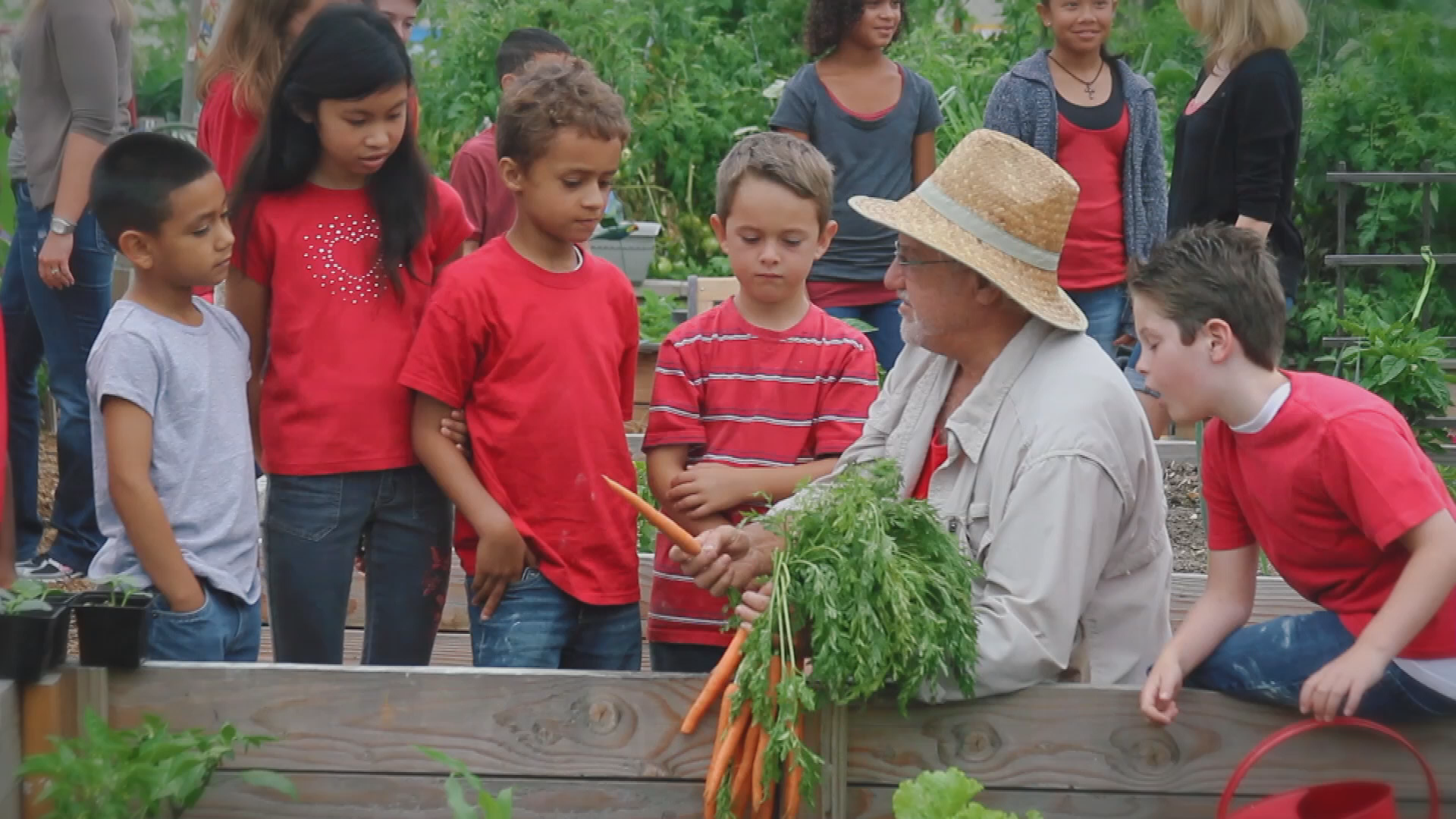 American heart association 1 minute 20 second Psa