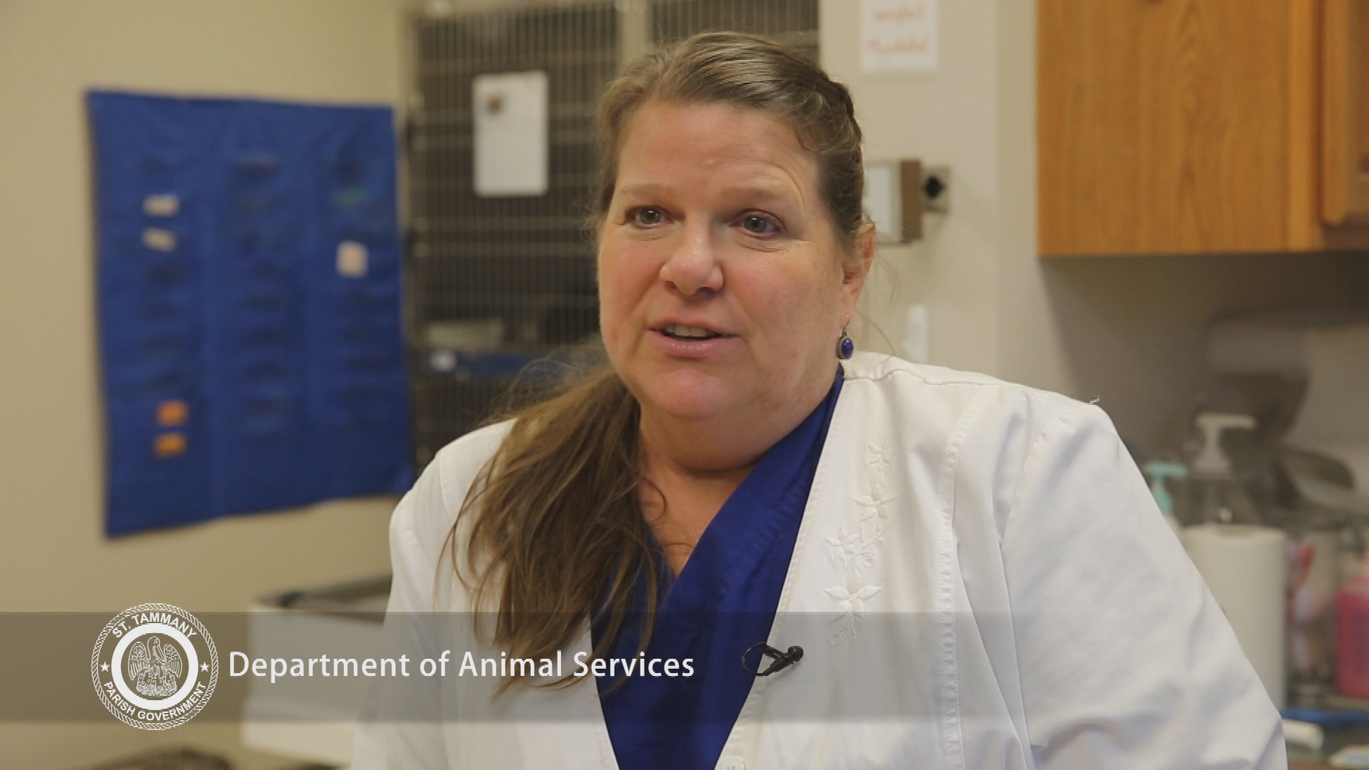 PSA Animal Services Vet 2017