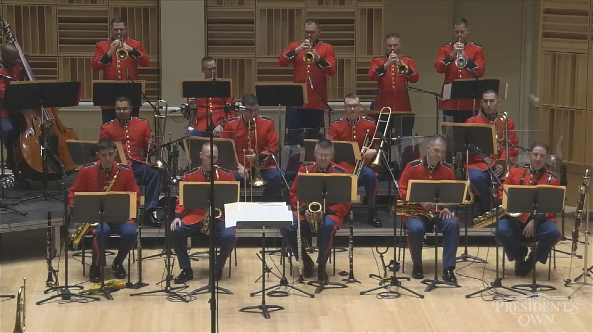 MARKS 'Rudolph, the Red-Nosed Reindeer' Holiday Programming