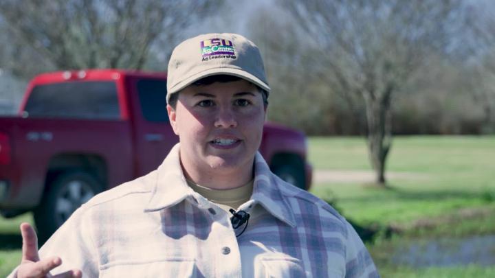 Thumbnail image for TWILA