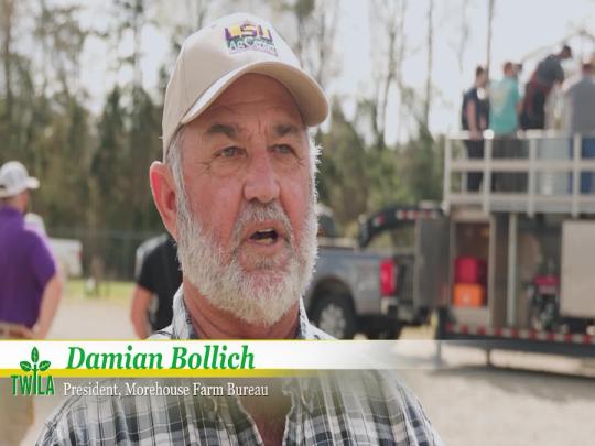 Thumbnail image for TWILA